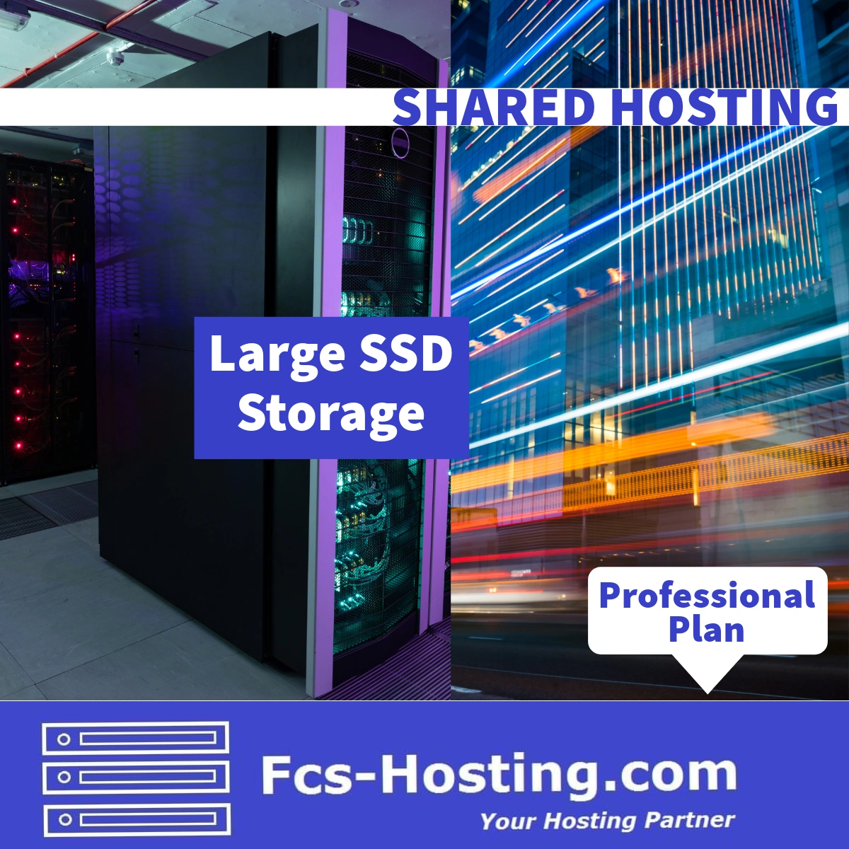 Shared Web Hosting Professional